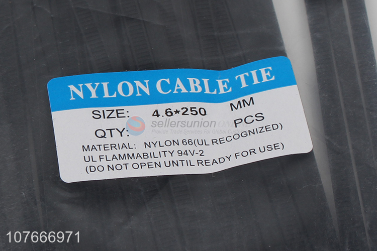 Reusable waterproof plastic secure tamper proof nylon cable ties&nbsp;