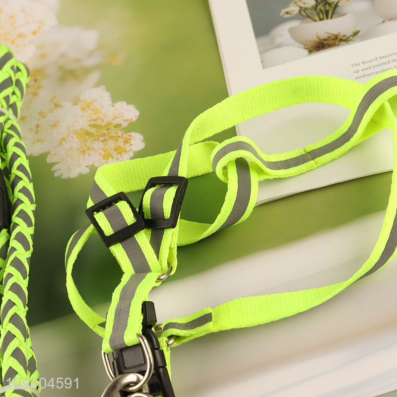 Hot items outdoor dog harness and leash set