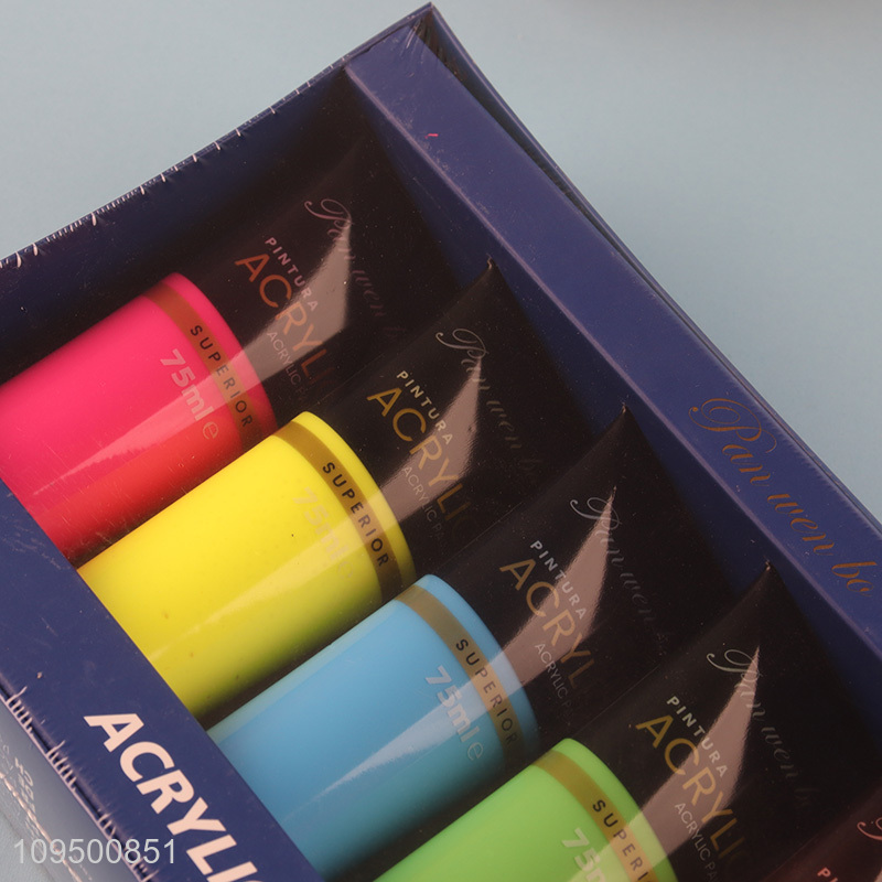 Hot selling 6colors fluorescent acrylic paint set