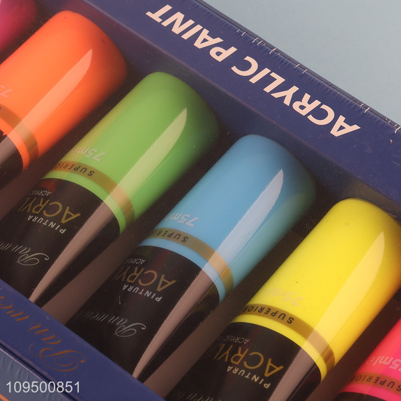 Hot selling 6colors fluorescent acrylic paint set